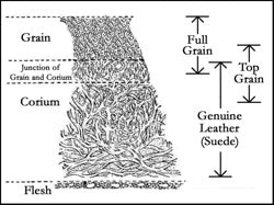 Shoe Leather 101 - An Overview